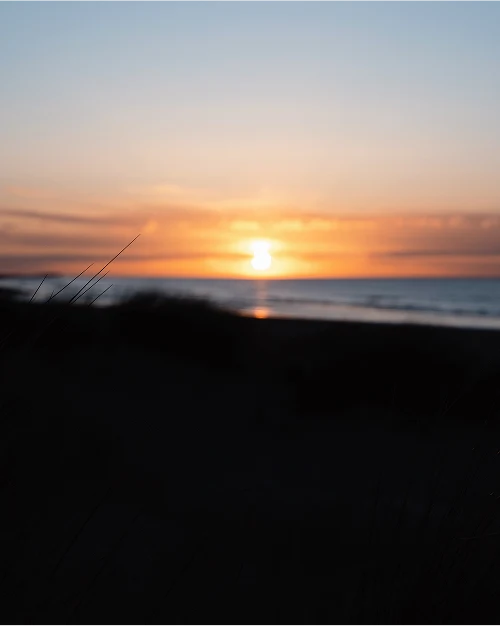 Pirelli Carousel Image