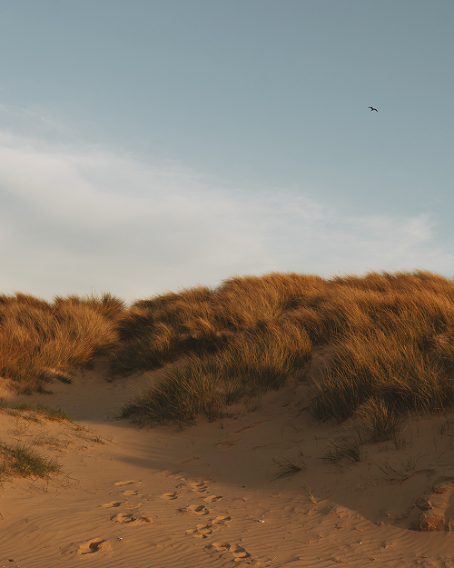 Pirelli Carousel Image