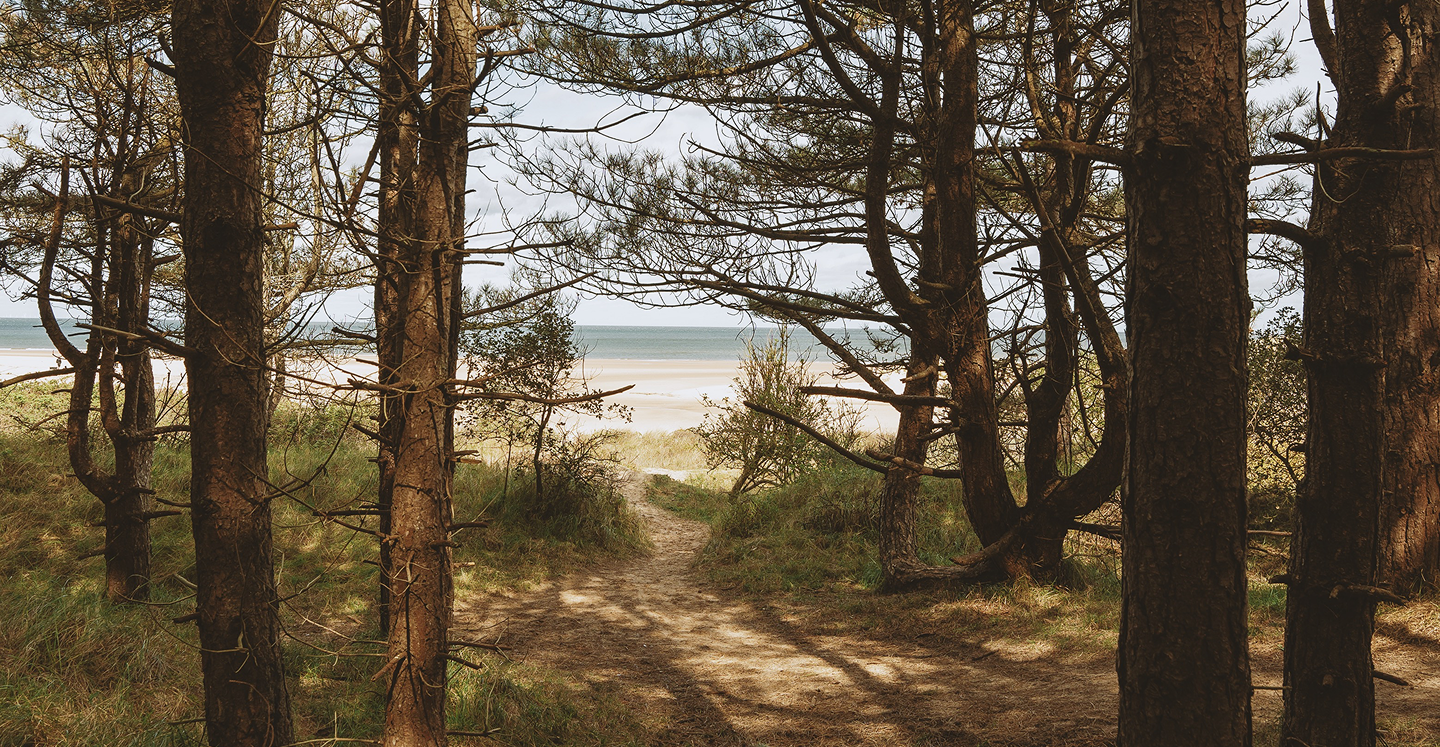  Sølve Sundsbø e l’evoluzione del Calendario Pirelli secondo Tommaso Pincio